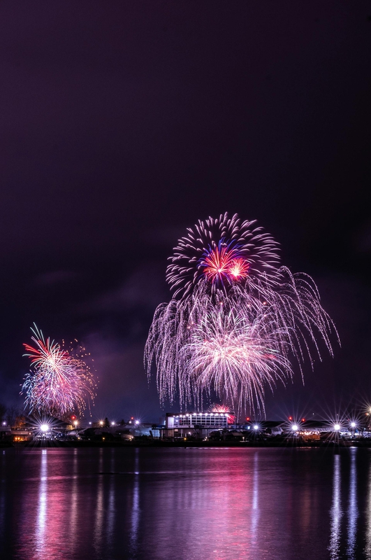 Pháo hoa, pháo, firework, tết, lễ hội, festival, hình nền, background - Rino Adamo 61