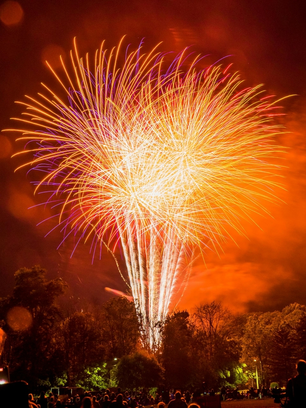 Pháo hoa, pháo, firework, tết, lễ hội, festival, hình nền, background - Rino Adamo 19