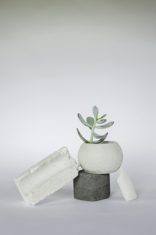 Chậu cây, xương rồng, sen đá, tĩnh vật, trang trí, potted plants, cacti, stone lotus, still life, decorations - KATRIN BOLOVTSOVA