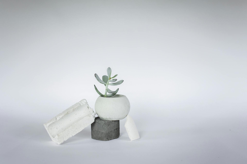 Chậu cây, xương rồng, sen đá, tĩnh vật, trang trí, potted plants, cacti, stone lotus, still life, decorations - KATRIN BOLOVTSOVA