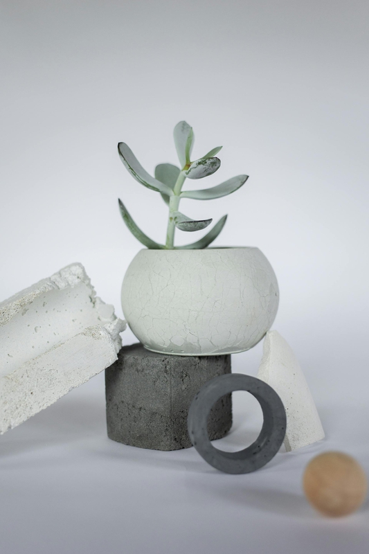 Chậu cây, xương rồng, sen đá, tĩnh vật, trang trí, potted plants, cacti, stone lotus, still life, decorations - KATRIN BOLOVTSOVA