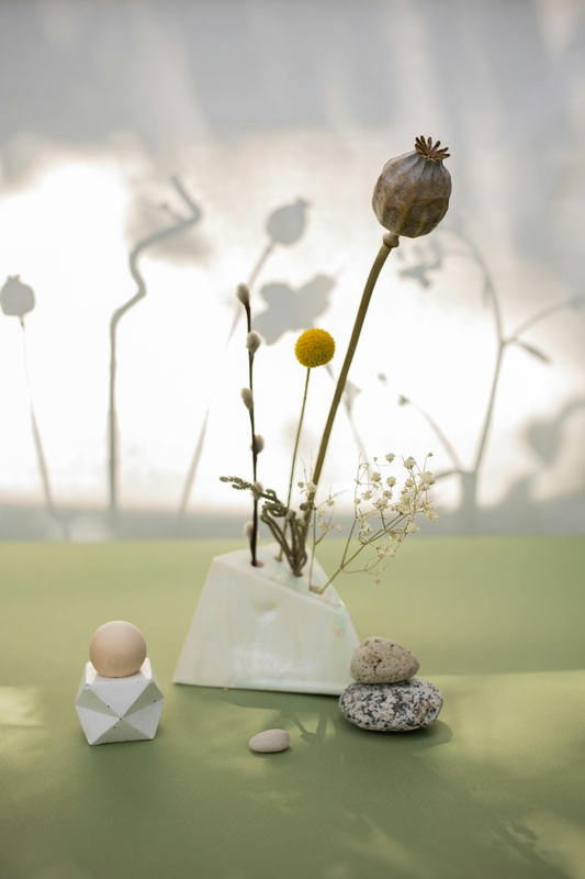 Chậu cây, hoa, tĩnh vật, trang trí, potted plants, flower, still life, decorations - KATRIN BOLOVTSOVA
