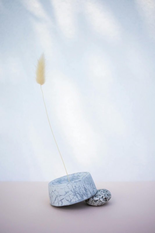 Chậu cây, xương rồng, sen đá, tĩnh vật, trang trí, potted plants, cacti, stone lotus, still life, decorations - KATRIN BOLOVTSOVA