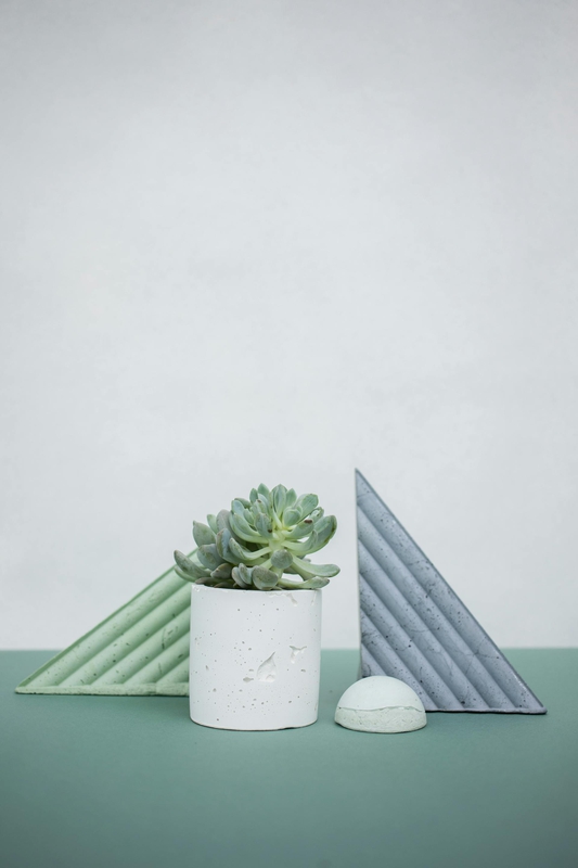 Chậu cây, xương rồng, sen đá, tĩnh vật, trang trí, potted plants, cacti, stone lotus, still life, decorations - KATRIN BOLOVTSOVA