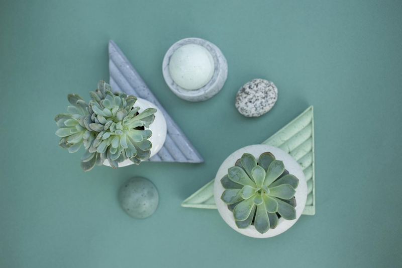 Chậu cây, xương rồng, sen đá, tĩnh vật, trang trí, potted plants, cacti, stone lotus, still life, decorations - KATRIN BOLOVTSOVA