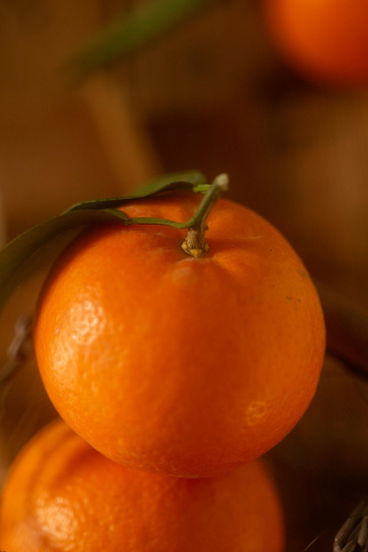 Quýt, cam, trái cây, tangerines, oranges, fruits- Yuan Cao 7