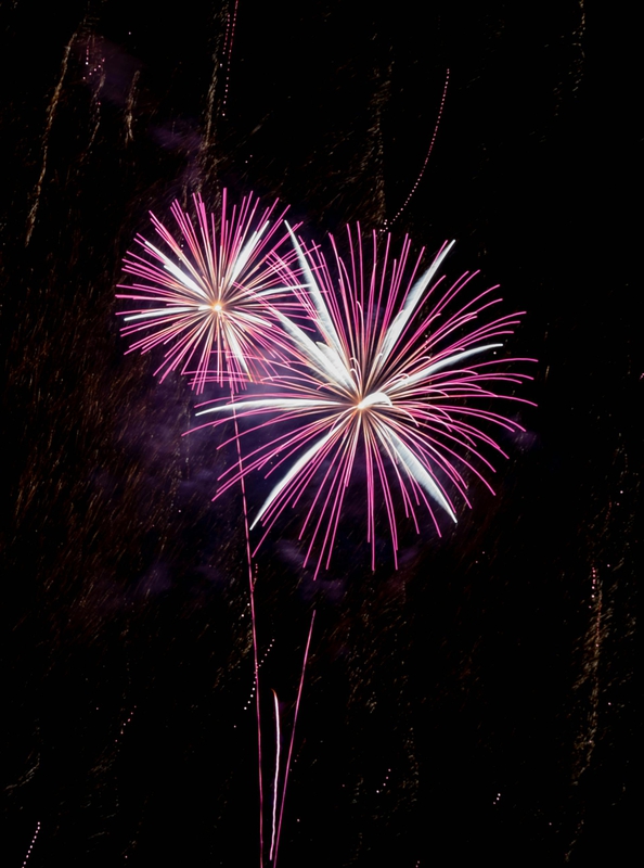 Pháo hoa, pháo, firework, tết, lễ hội, festival, hình nền, background - Rino Adamo 21