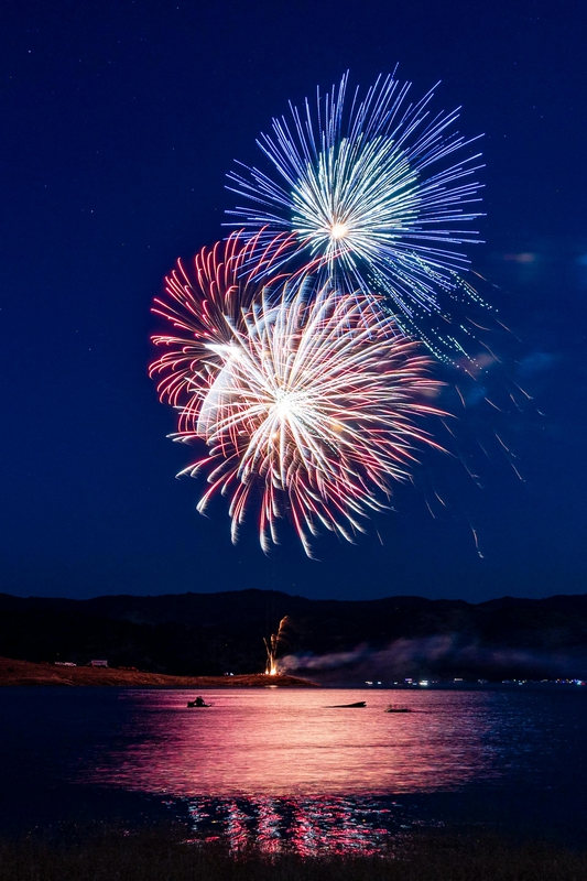 Pháo hoa, pháo, firework, tết, lễ hội, festival, hình nền, background - Rino Adamo 55