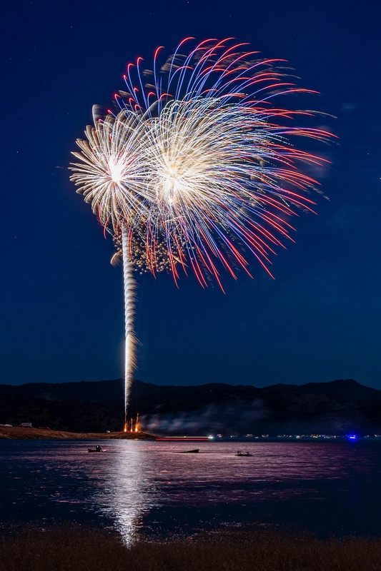 Pháo hoa, pháo, firework, tết, lễ hội, festival, hình nền, background - Rino Adamo 51