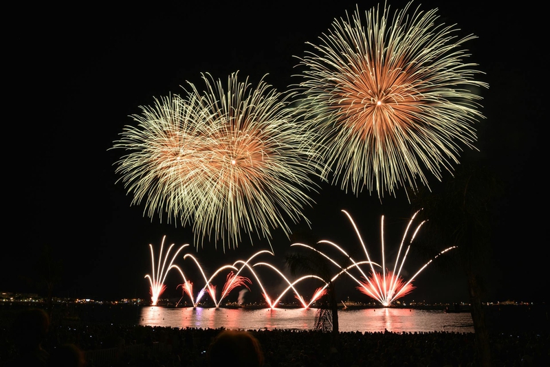 Pháo hoa, pháo, firework, tết, lễ hội, festival, hình nền, background - Rino Adamo 17
