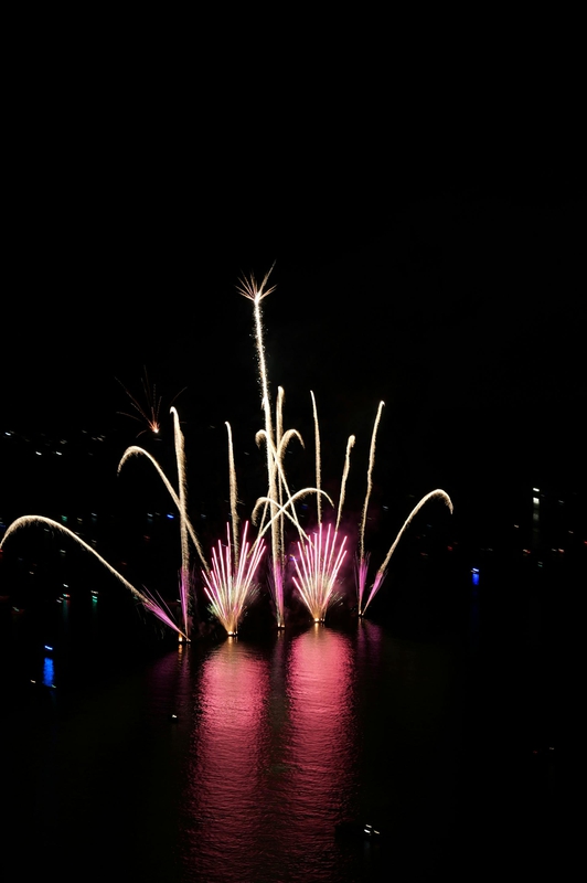 Pháo hoa, pháo, firework, tết, lễ hội, festival, hình nền, background - Rino Adamo 8