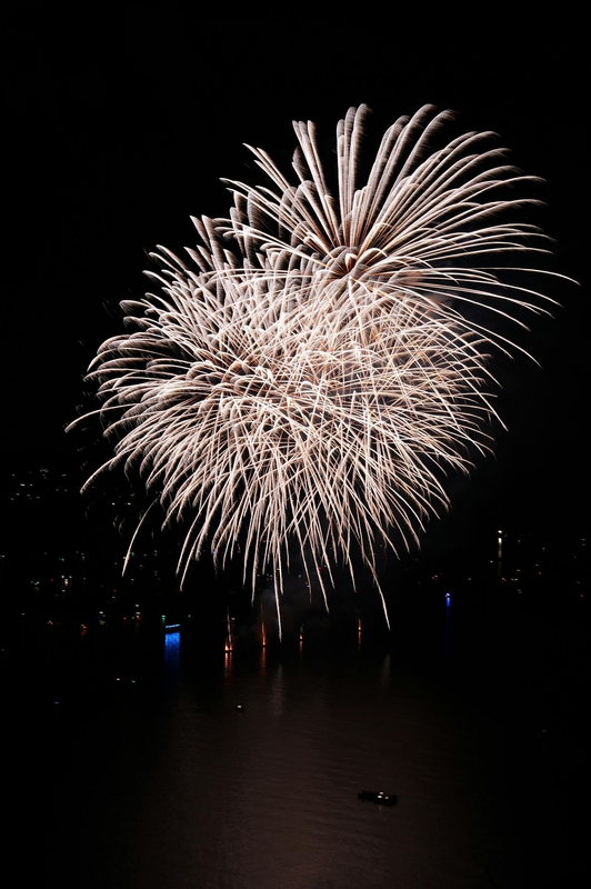 Pháo hoa, pháo, firework, tết, lễ hội, festival, hình nền, background - Rino Adamo 11