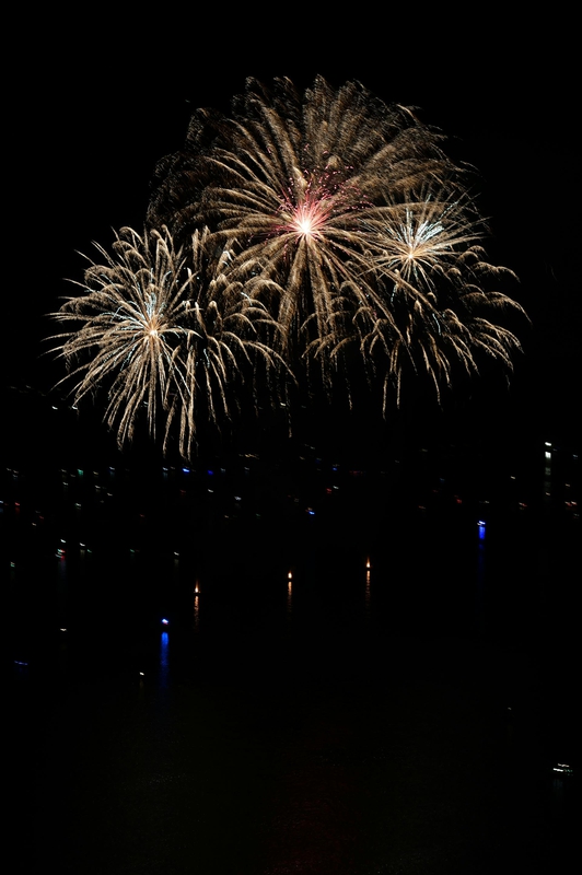 Pháo hoa, pháo, firework, tết, lễ hội, festival, hình nền, background - Rino Adamo 10