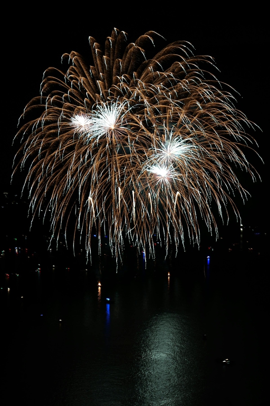 Pháo hoa, pháo, firework, tết, lễ hội, festival, hình nền, background - Rino Adamo 12