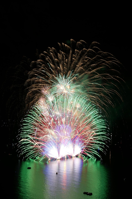 Pháo hoa, pháo, firework, tết, lễ hội, festival, hình nền, background - Rino Adamo 9
