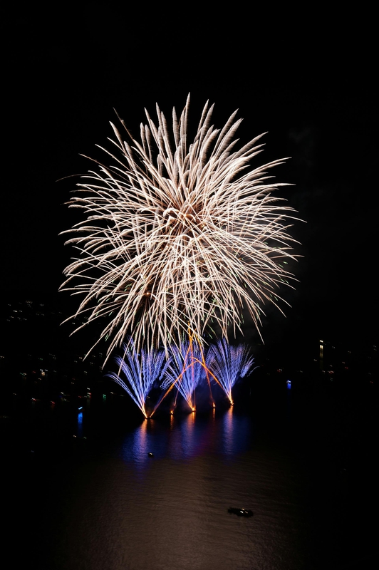 Pháo hoa, pháo, firework, tết, lễ hội, festival, hình nền, background - Rino Adamo 4