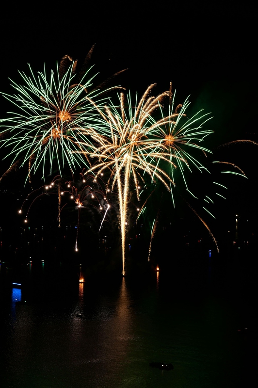 Pháo hoa, pháo, firework, tết, lễ hội, festival, hình nền, background - Rino Adamo 7