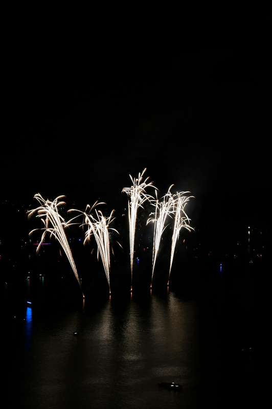 Pháo hoa, pháo, firework, tết, lễ hội, festival, hình nền, background - Rino Adamo 5
