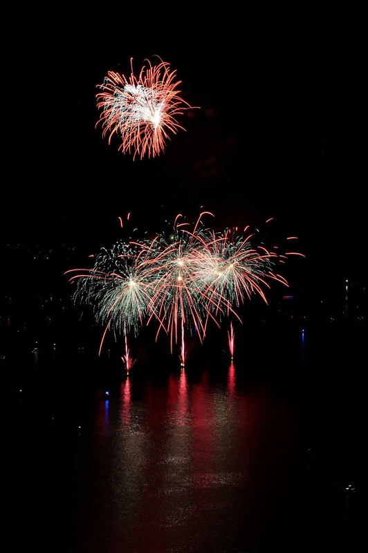 Pháo hoa, pháo, firework, tết, lễ hội, festival, hình nền, background - Rino Adamo 6