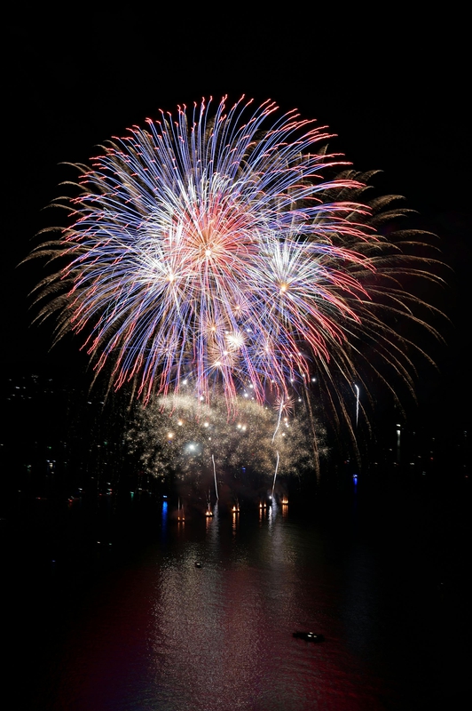 Pháo hoa, pháo, firework, tết, lễ hội, festival, hình nền, background - Rino Adamo