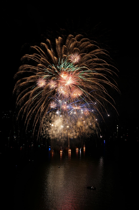 Pháo hoa, pháo, firework, tết, lễ hội, festival, hình nền, background - Rino Adamo 3