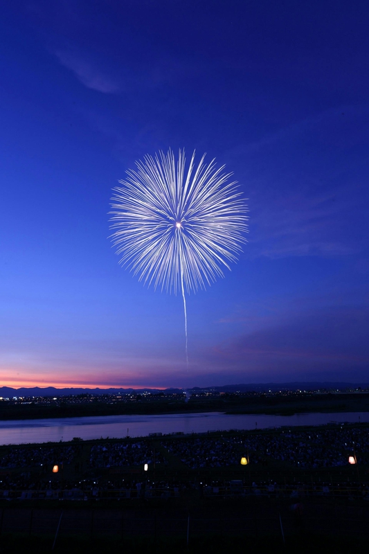Pháo hoa, pháo, firework, tết, lễ hội, festival, hình nền, background - Rino Adamo 42