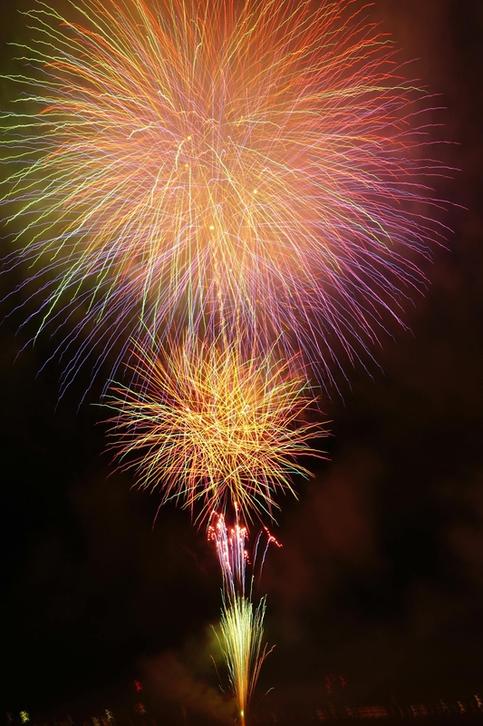 Pháo hoa, pháo, firework, tết, lễ hội, festival, hình nền, background - Rino Adamo 50