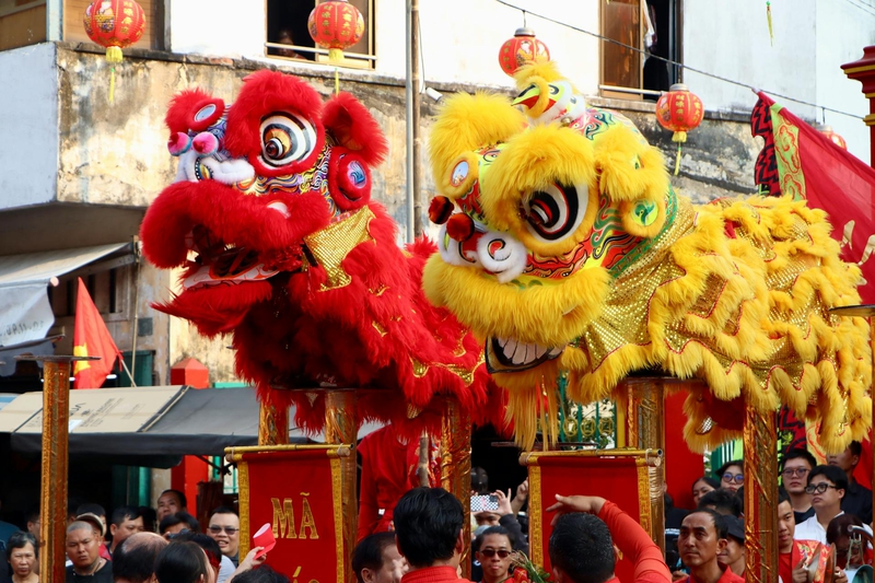 Múa lân, lễ hội, festival, Tết, Tết holiday, văn hóa - HONG SON 3