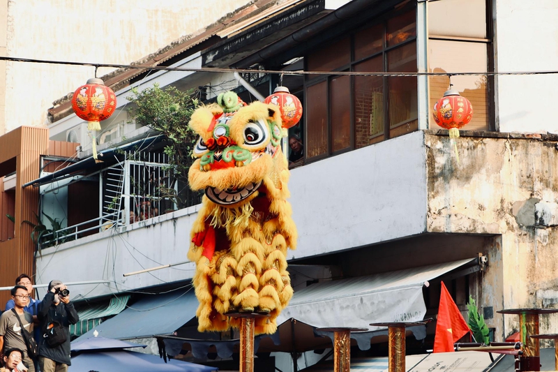 Lân, múa lâ, unicorn, unicorn dance, Tết, Tết Nguyên Đán, window, curtain, Tet, Lunar New Year - Tuan Vy