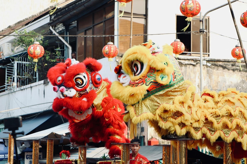 Múa lân, lễ hội, festival, Tết, Tết holiday, văn hóa - HONG SON 18