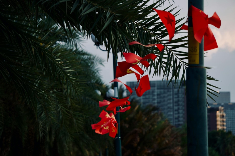 Cờ, lá cờ, cờ Việt, nhà, flag, Vietnamese flag, house - Tuan Vy