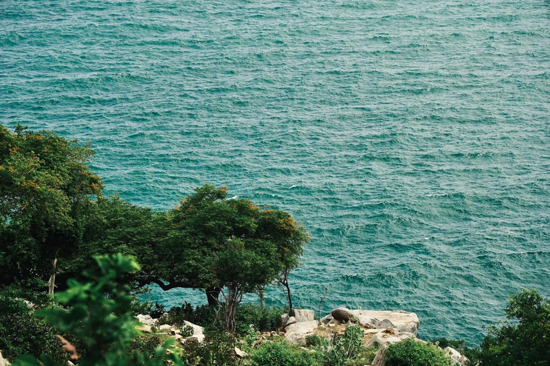 Biển, bãi biển, sea, beach - Tuan Vy