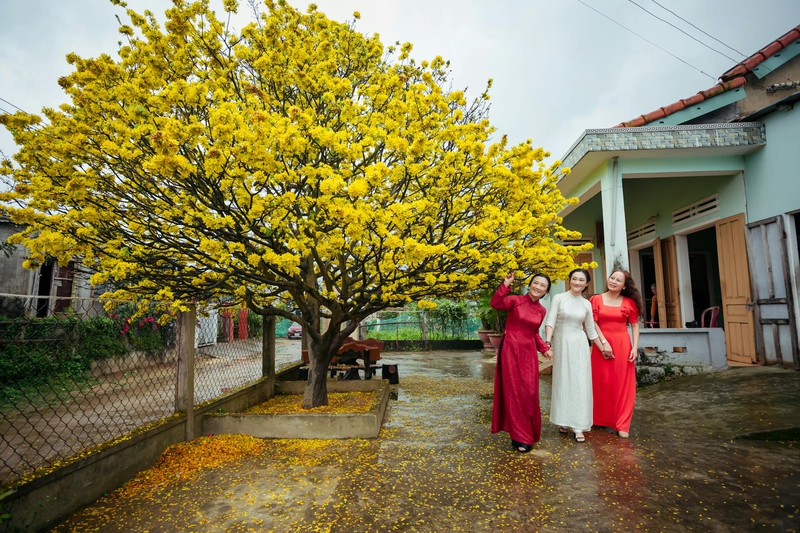 Cô gái, nữ, áo dài, tết, girl, women, ao dai, Tet- Võ Văn Tiến 3