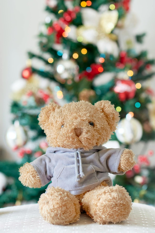 Gấu bông, trang trí, giáng sinh, dễ thương, teddy bear, decoration, christmas, cute- GERMAN SUAREZ