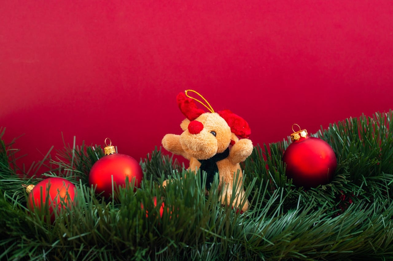 Gấu bông, trang trí, giáng sinh, dễ thương, teddy bear, decoration, christmas, cute- Mateusz Feliksik 1