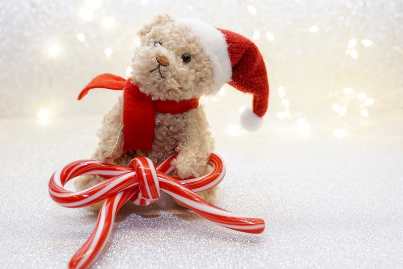 Gấu bông, trang trí, giáng sinh, dễ thương, teddy bear, decoration, christmas, cute- Susanne Jutzeler, suju-foto