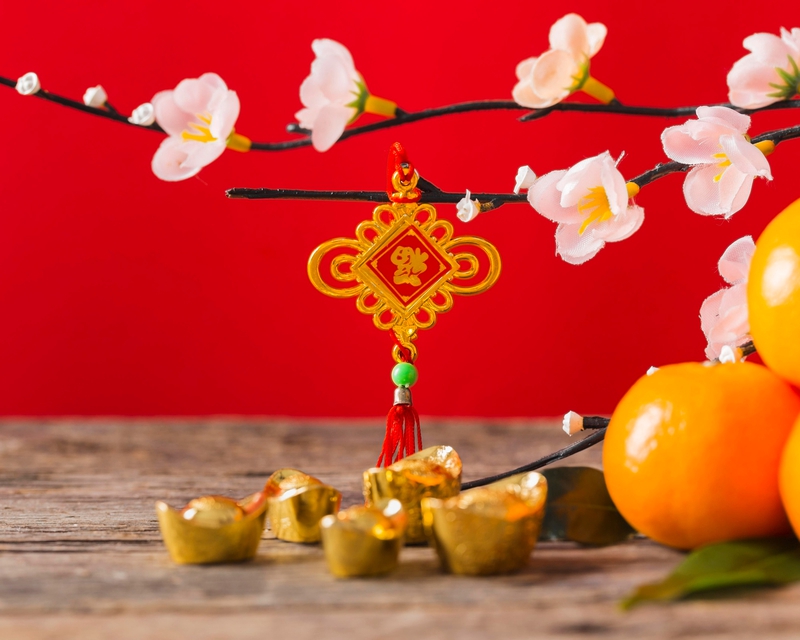 Hoa đào, cherry blossom, flower, tết, xuân, spring, truyền thống, Việt Nam, hình nền, background 6