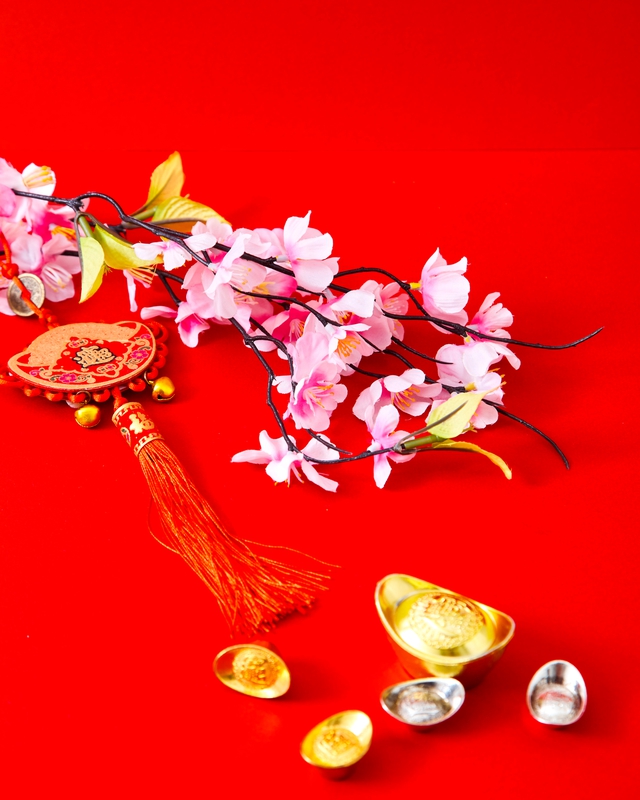 Hoa đào, cherry blossom, flower, tết, xuân, spring, truyền thống, Việt Nam, hình nền, background
