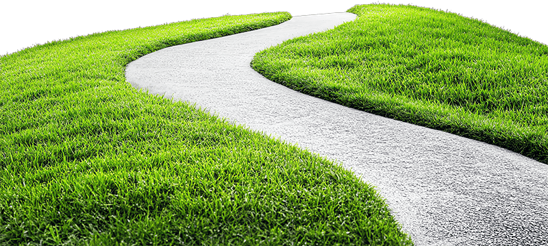Cỏ, con đường, con đường cỏ, road grass, grass, road wave