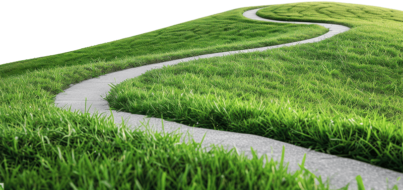 Cỏ, con đường, con đường cỏ, road grass, grass, road wave