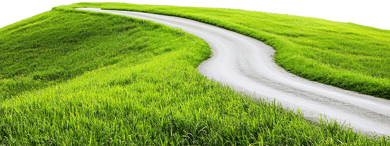 Cỏ, con đường, con đường cỏ, road grass, grass, road wave