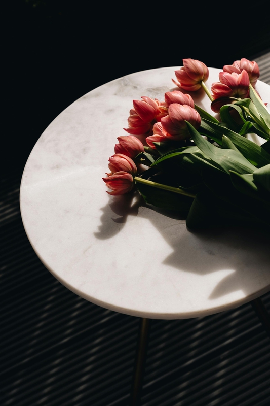 Hoa tulip, cánh hoa- alleksana 5