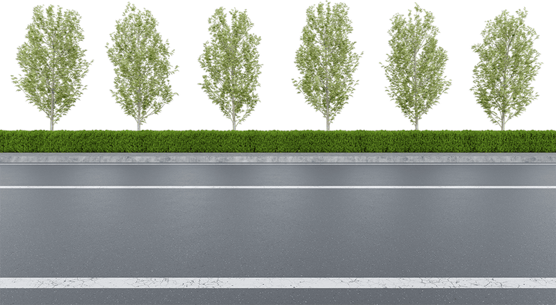 Đường nhựa, đường, đường đi, road, con đường