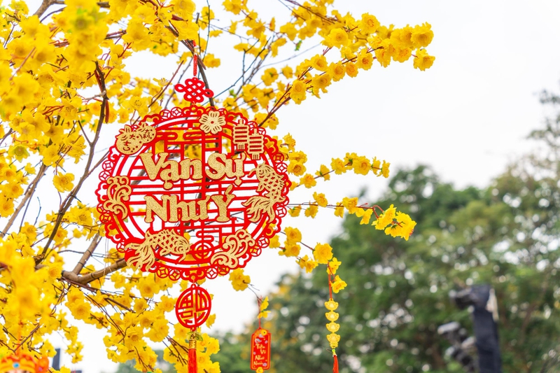 Hoa mai, tag treo tết, trang trí tết, không khí tết, tết nguyên đán, Apricot blossoms, New Year's hanging tags, New Year's decorations, New Year's atmosphere, Lunar New Year - fedesign92 3