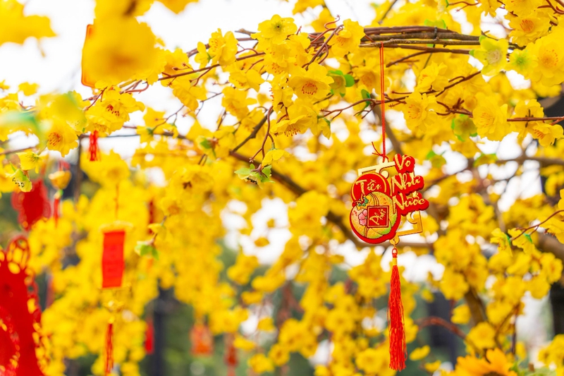 Hoa mai, tag treo tết, trang trí tết, không khí tết, tết nguyên đán, Apricot blossoms, New Year's hanging tags, New Year's decorations, New Year's atmosphere, Lunar New Year - fedesign92 2
