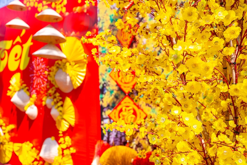 Hoa mai, tag treo tết, trang trí tết, không khí tết, tết nguyên đán, Apricot blossoms, New Year's hanging tags, New Year's decorations, New Year's atmosphere, Lunar New Year - fedesign92
