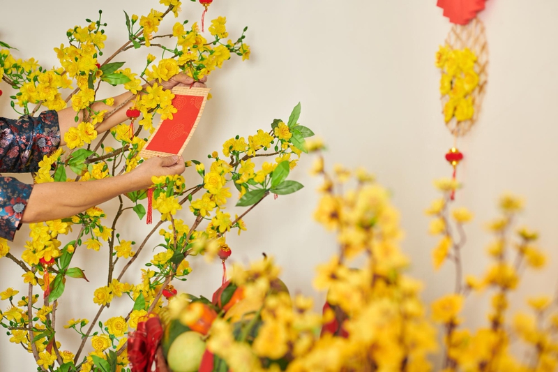 Trái cây, mâm ngủ quả, hoa mai, đón tết, chưng quả, fruits, fruit platter, celebrating Tet ), displaying fruit - dragonimages