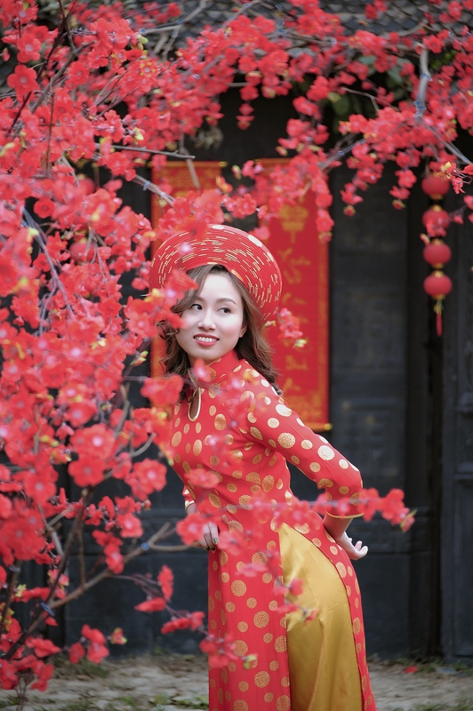 Cô gái, áo dài đỏ, chợ tết, không khí tết, dạo phố tết, truyền thống, the girl, red ao dai, at the Tet market, Tet atmosphere, strolling through Tet streets, tradition. - PillyNG 2 1
