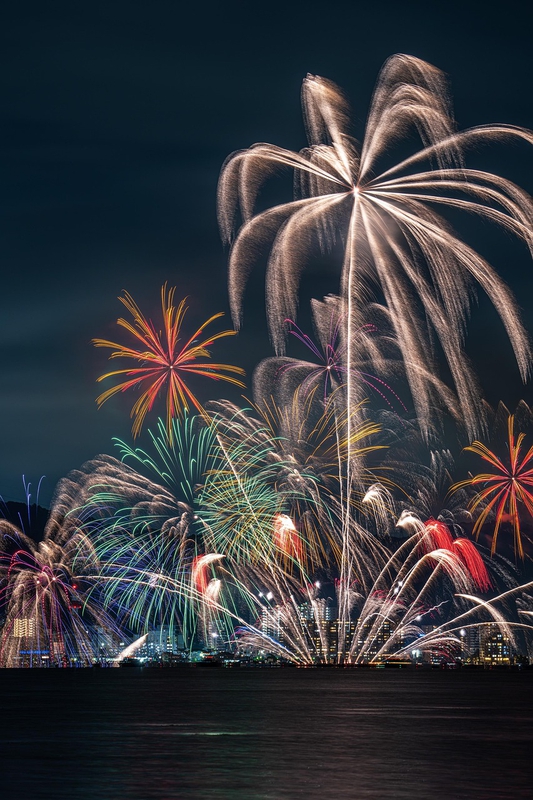Pháo hoa, phát sáng, chúc mừng năm mới, không khí năm mới, fireworks, bright, Happy New Year, New Year atmosphere - Kanenori