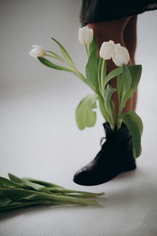 Hoa tulip, hoa- Alina Komarevska